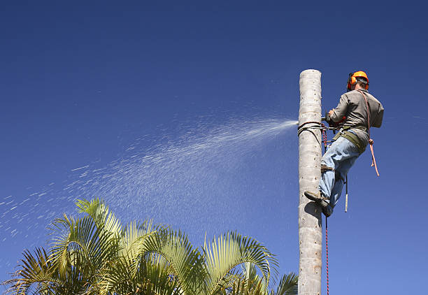 Soil Testing and Treatment in Archer City, TX